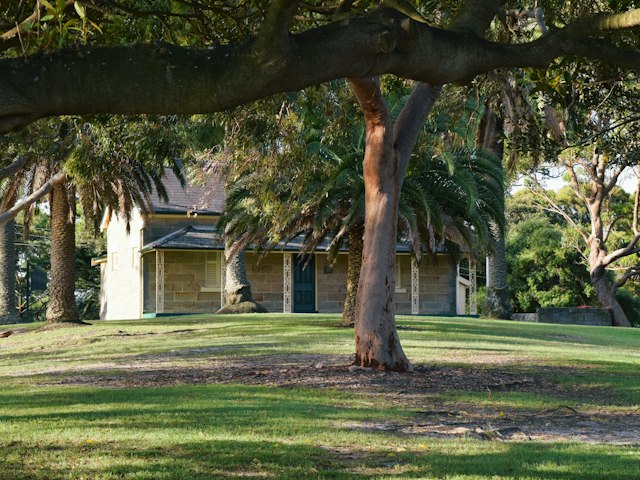 A house in the shade of a big tree